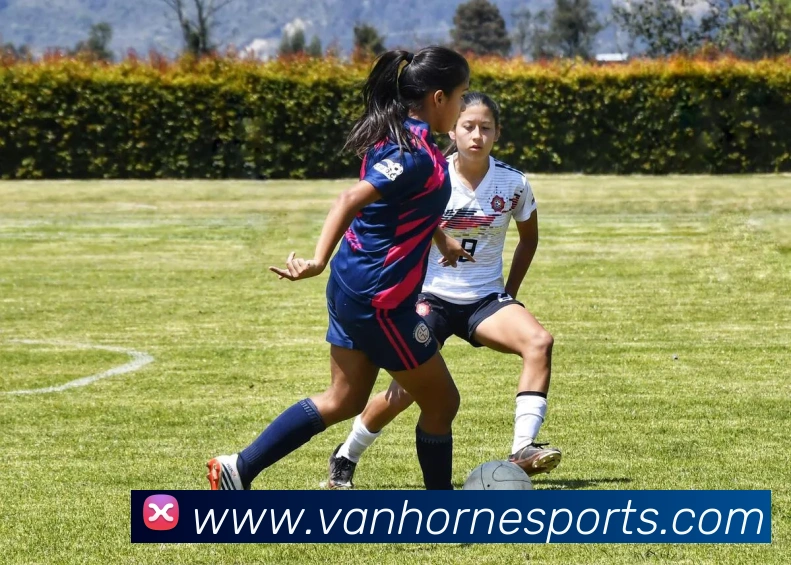 球赛投注品牌故事